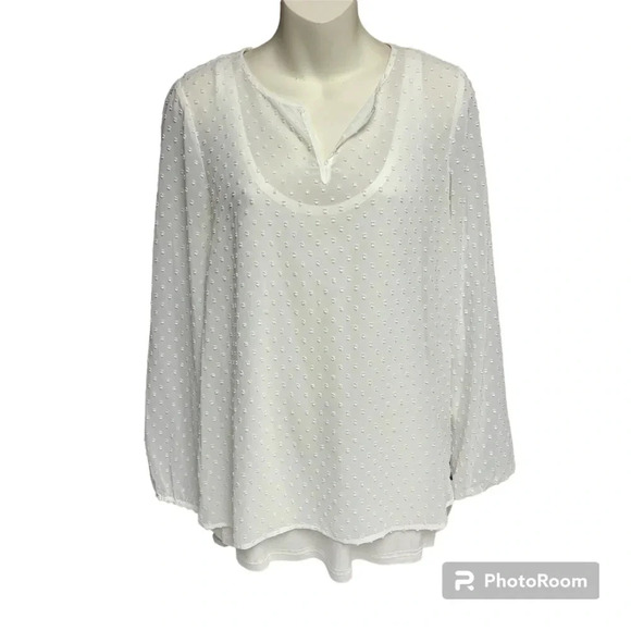 Ruff Hewn Grey. Cream sheer Swiss dot long sleeve blouse with cami size small - Picture 1 of 11